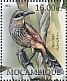 Kioea Chaetoptila angustipluma †  2012 Extinct birds Sheet