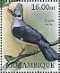 Hoopoe Starling Fregilupus varius †  2012 Extinct birds Sheet