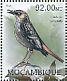 Bonin Thrush Zoothera terrestris â€   2012 Extinct birds Sheet