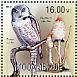 Northern Hawk-Owl Surnia ulula  2013 Owls and fungi Sheet