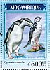 Chinstrap Penguin Pygoscelis antarcticus  2014 Penguins Sheet