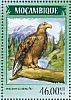 White-tailed Eagle Haliaeetus albicilla  2014 Eagles Sheet