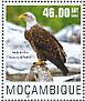 Bald Eagle Haliaeetus leucocephalus  2014 Birds of prey Sheet