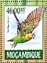 Cape Parrot Poicephalus robustus  2015 Parrots Sheet