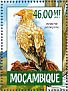 Egyptian Vulture Neophron percnopterus  2015 Raptors Sheet