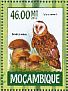 African Grass Owl Tyto capensis  2015 Owls Sheet