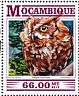 Eastern Screech Owl Megascops asio  2015 Owls Sheet