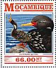 Red-legged Cormorant Poikilocarbo gaimardi  2015 Cormorants Sheet