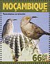 Curve-billed Thrasher Toxostoma curvirostre  2016 Cactus and birds Sheet