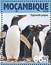 Gentoo Penguin Pygoscelis papua  2016 Penguins Sheet