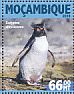 Southern Rockhopper Penguin Eudyptes chrysocome  2016 Penguins Sheet
