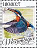 Common Kingfisher Alcedo atthis  2016 Kingfishers Sheet