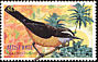 Bananaquit Coereba flaveola  2003 Caribbean birds 