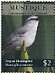 Tropical Mockingbird Mimus gilvus  2011 Birds of the Caribbean Sheet