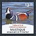 Harlequin Duck Histrionicus histrionicus  2014 Ducks I Sheet