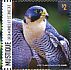 Peregrine Falcon Falco peregrinus  2014 Animals of the tundra 9v sheet