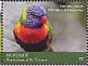 Rainbow Lorikeet Trichoglossus moluccanus