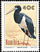 Abdim's Stork Ciconia abdimii  1994 Birds of Etosha - Storks 