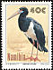 Abdim's Stork Ciconia abdimii