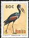 African Openbill Anastomus lamelligerus  1994 Birds of Etosha - Storks 