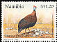 Helmeted Guineafowl Numida meleagris