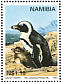 African Penguin Spheniscus demersus