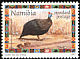 Helmeted Guineafowl Numida meleagris  1997 Christmas 