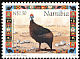 Helmeted Guineafowl Numida meleagris