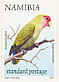 Rosy-faced Lovebird Agapornis roseicollis