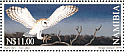 Western Barn Owl Tyto alba  1999 Stamp world cup winning design  MS