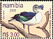 Knob-billed Duck Sarkidiornis melanotos  2000 Ducks of Namibia 