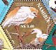 Western Cattle Egret Bubulcus ibis  2004 SAPOA Sheet