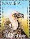 Cape Vulture Gyps coprotheres