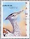 Kori Bustard Ardeotis kori  2010 Bustards Sheet