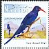 Violet Wood Hoopoe Phoeniculus damarensis  2012 Definitives 