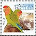 Rosy-faced Lovebird Agapornis roseicollis