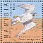 Peregrine Falcon Falco peregrinus  2014 Kalahari 10v sheet