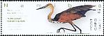 Goliath Heron Ardea goliath