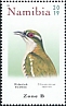 Diederik Cuckoo Chrysococcyx caprius