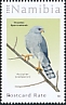 Ovambo Sparrowhawk Accipiter ovampensis