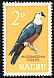 Micronesian Imperial Pigeon Ducula oceanica  1965 Definitives 