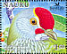 Mariana Fruit Dove Ptilinopus roseicapilla  2005 BirdLife International, Pigeons Sheet