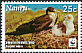Great Frigatebird Fregata minor  2009 WWF, new paper 