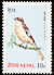Great Grey Shrike Lanius excubitor