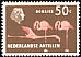 American Flamingo Phoenicopterus ruber  1958 Definitives 