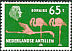 American Flamingo Phoenicopterus ruber  1973 Definitives 