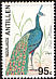 Indian Peafowl Pavo cristatus  1994 Birds 