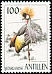 Grey Crowned Crane Balearica regulorum  1997 Birds 