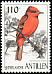 Scarlet Flycatcher Pyrocephalus rubinus  1997 Birds 