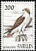 Western Osprey Pandion haliaetus  1997 Birds 